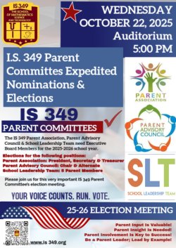 election eng flyer